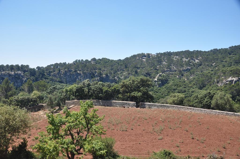 Sa Campaneta Agroturismo Puigpunyent  Buitenkant foto