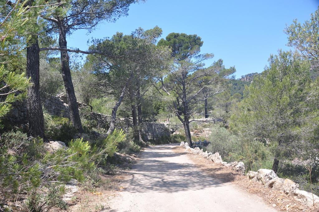 Sa Campaneta Agroturismo Puigpunyent  Buitenkant foto