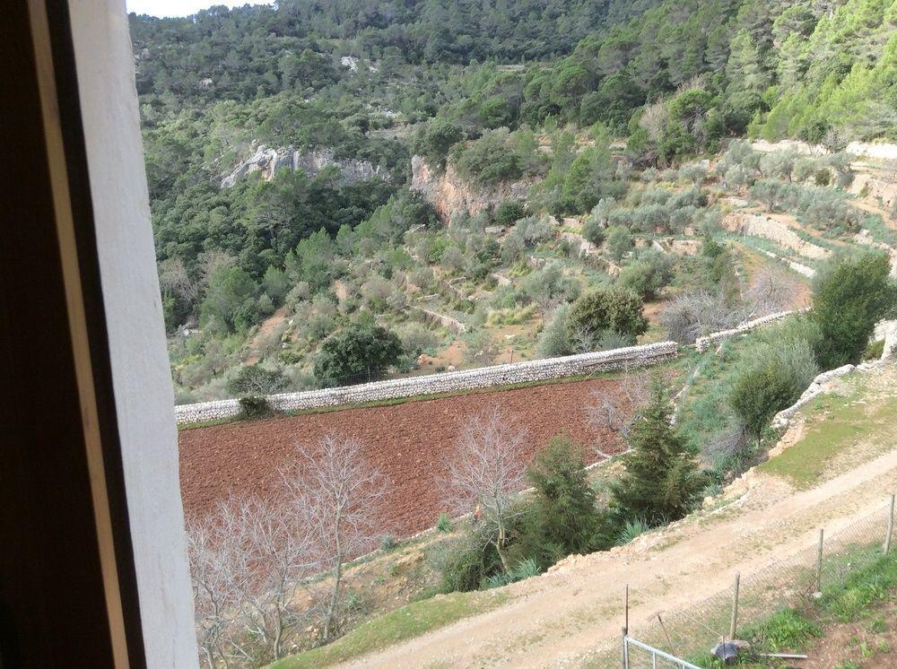 Sa Campaneta Agroturismo Puigpunyent  Buitenkant foto