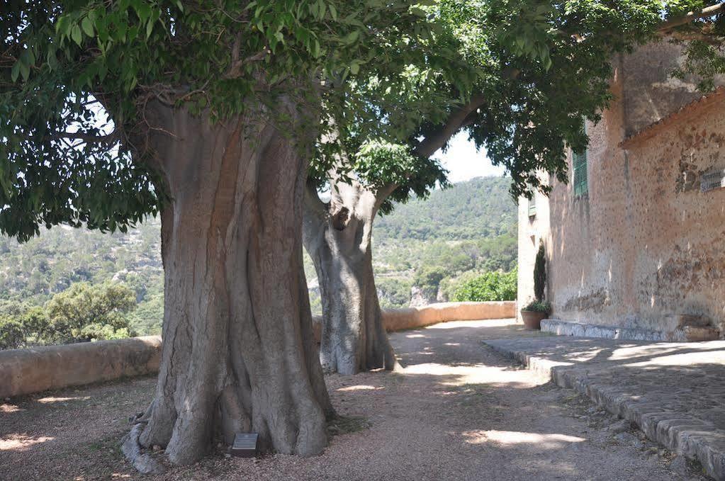 Sa Campaneta Agroturismo Puigpunyent  Buitenkant foto